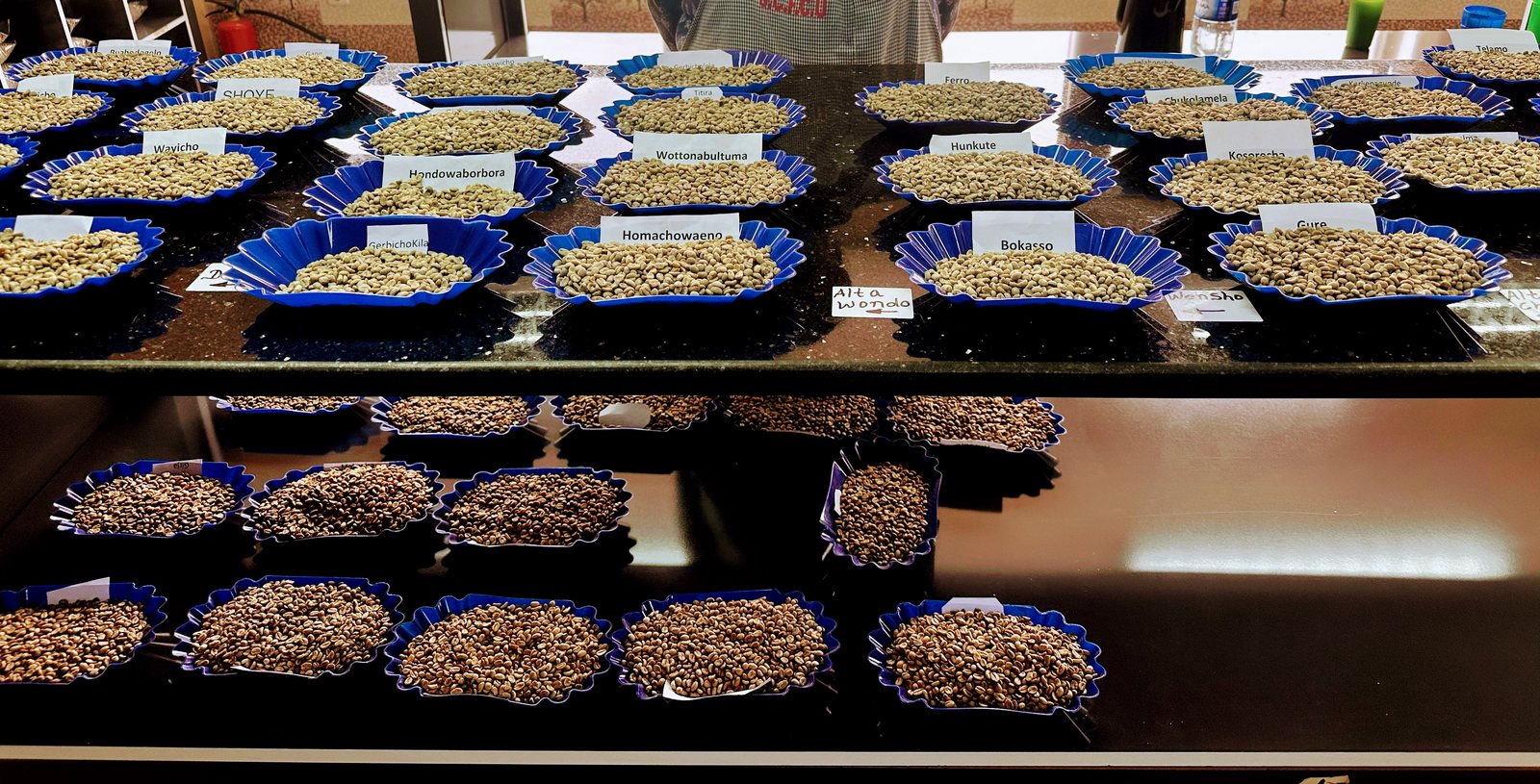 Rows of coffee samples in blue bowls on a tasting table
